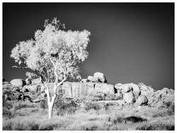 Devil's Marbles, NT #I